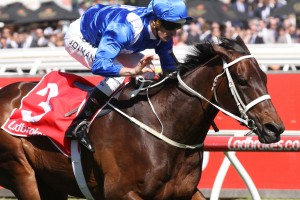 Winx, above, is on track for a fourth win in the Ladbrokes Cox Plate at The Valley. Photo by Ultimate Racing Photos.
