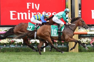 Humidor, above in green colours, is trainer Darren Weir's pick of his four runners in the 2018 Makybe Diva Stakes at Flemington. Photo by Ultimate Racing Photos.