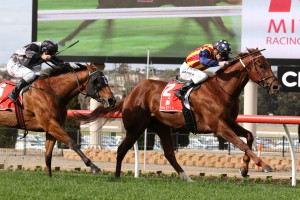 Nature Strip, above in yellow, red and blue colours, scores a record breaking win in the 20118 McEwen Stakes at The Valley.  Photo by Ultimate Racing Photos.  