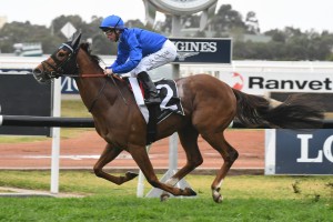 Home Of The Brave, above, scored an all the way win in the 2018 Theo Marks Stakes at Rosehill. Photo by Steve Hart. 