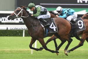 Yes Yes Yes, above, has drawn the outside barrier in the 2019 Golden Slipper at Rosehill. Photo by Steve Hart.