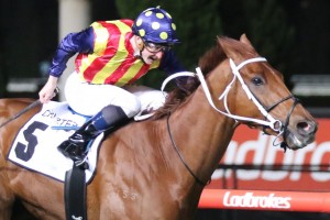 Moir Stakes winner Nature Strip, above, is among the first acceptances for the 2019 Manikato Stakes at The Valley. Photo by Ultimate Racing Photos.